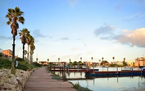 Palm-lined walkway along the Port Owen marina