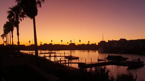 Palm trees silhouetted against a marina sunset