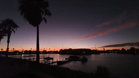 Palm silhouettes at dusk over the marina